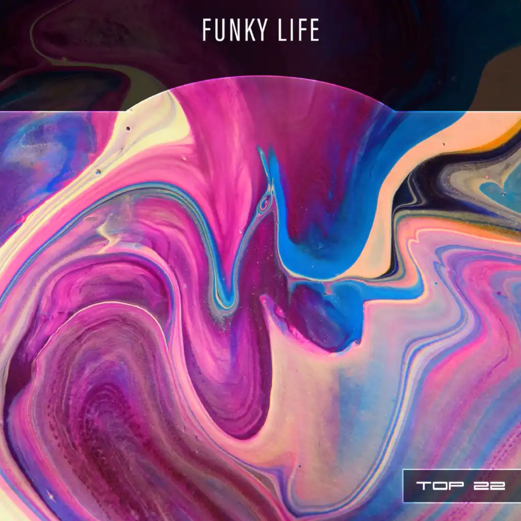 Funky Life Top 22