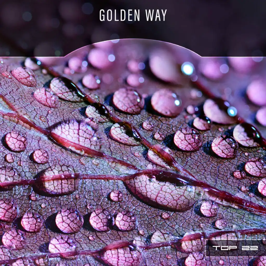 Erectility (Pitch-4)