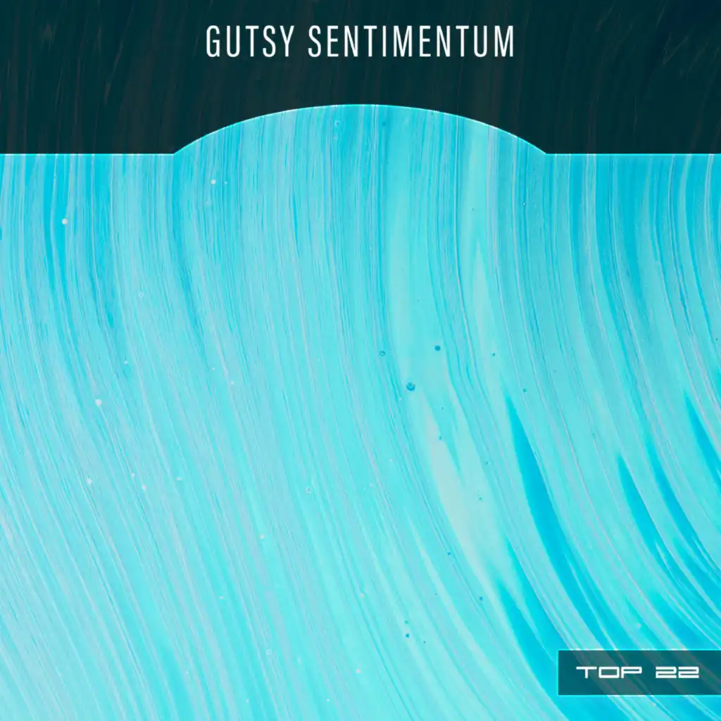 Gutsy Sentimentum Top 22