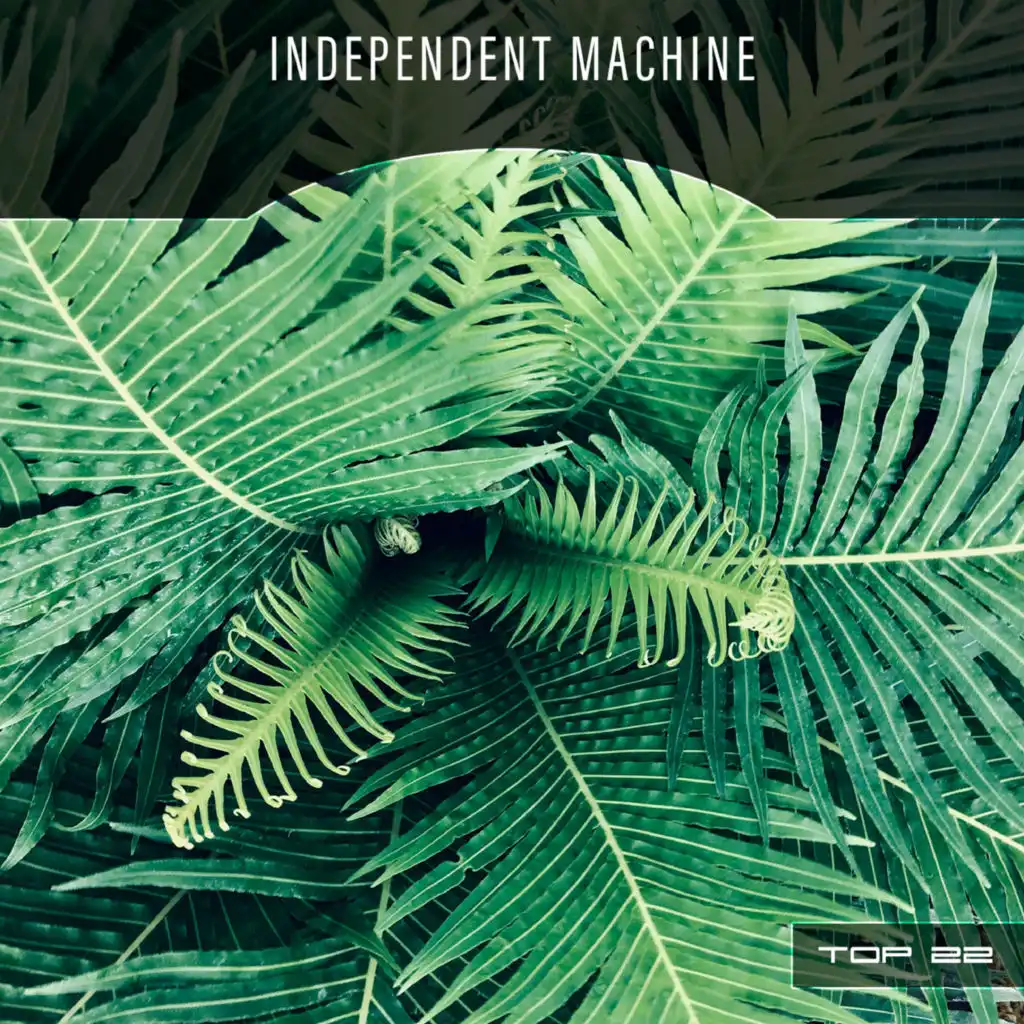 Addottrinare (Pitch-4)