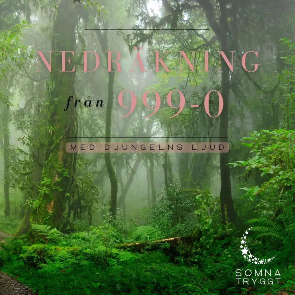 Nedräkning från 999-0 (Med djungelns ljud)