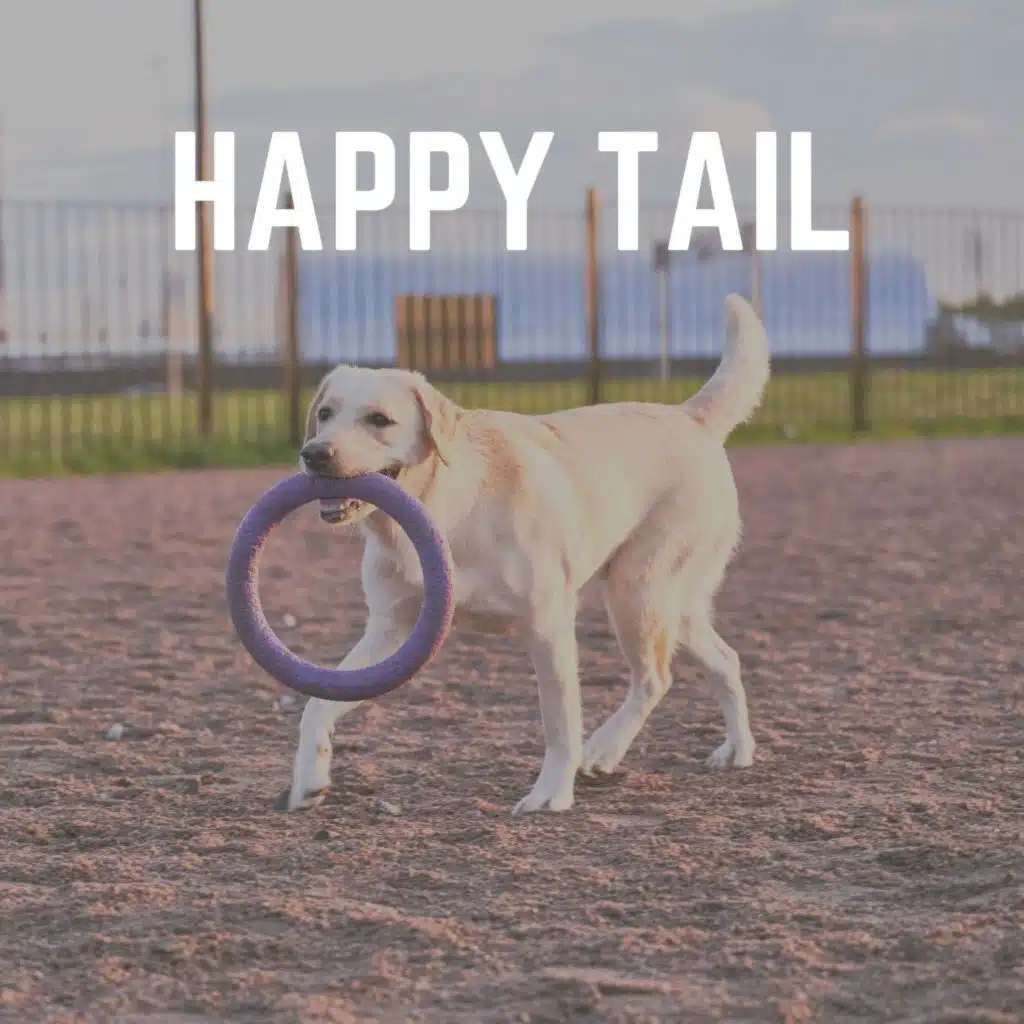 Happy Tail
