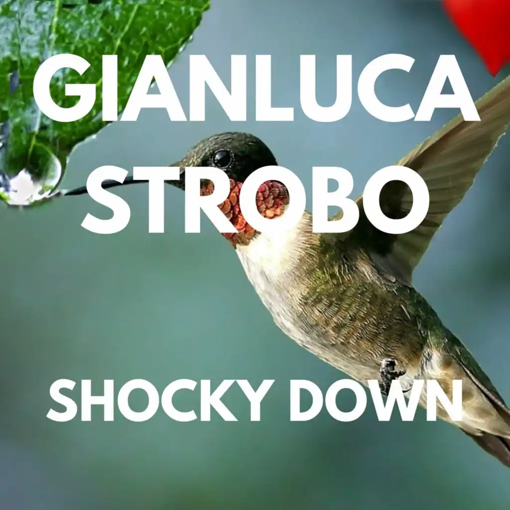 Accomandazione (Pitch-4)