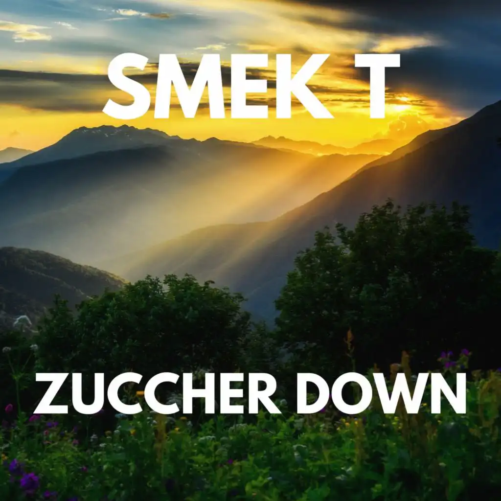 ZUCCHER DOWN