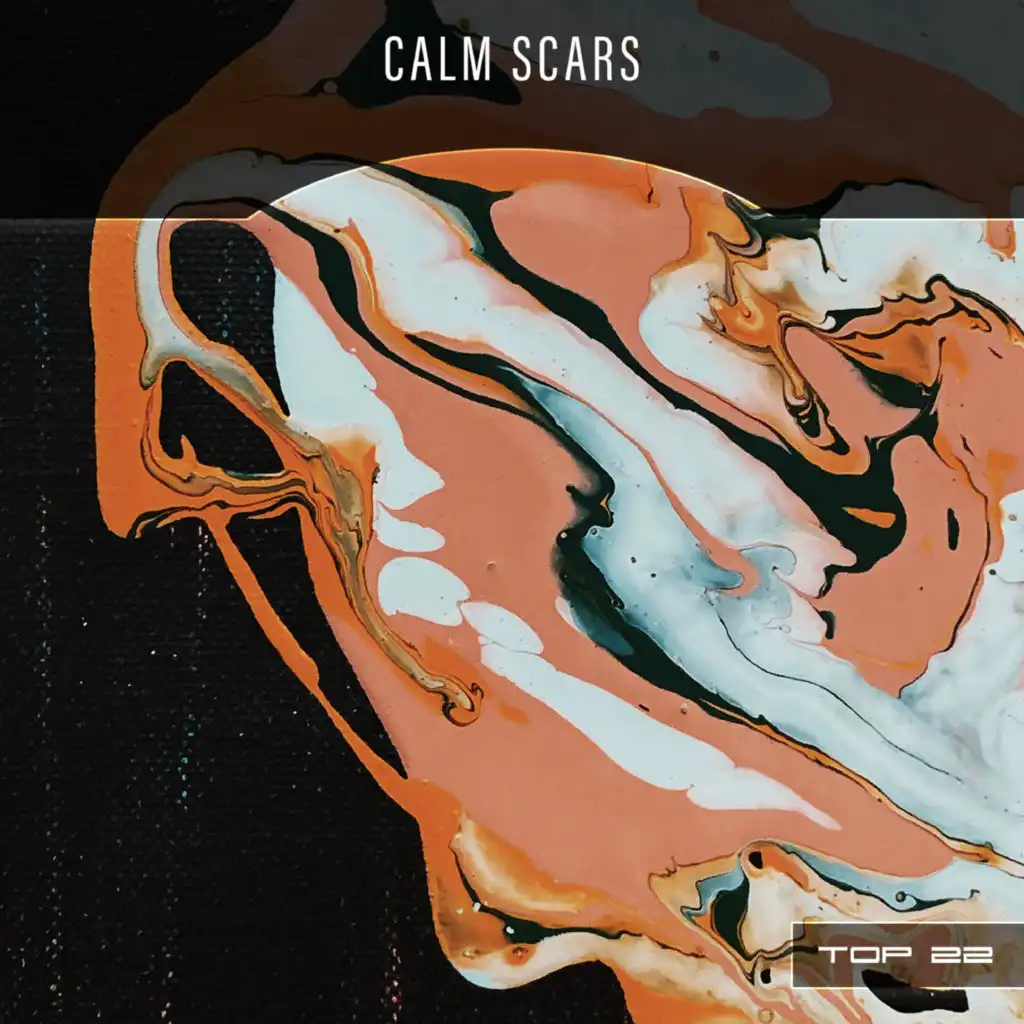 Calm Scars Top 22