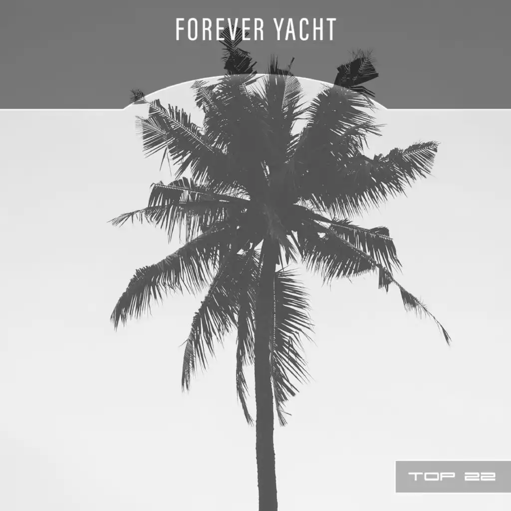 Forever Yacht Top 22