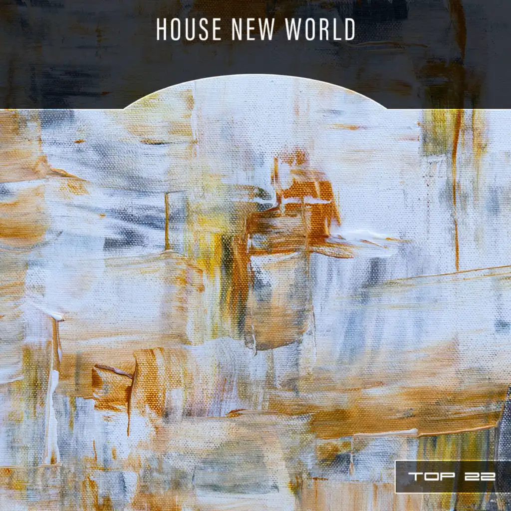 House New World Top 22