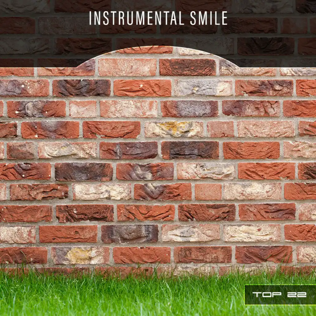 Instrumental Smile Top 22