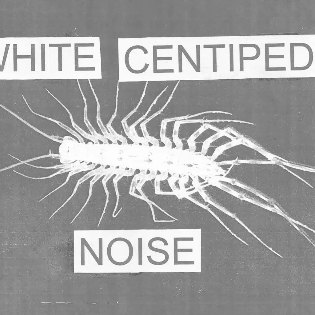 White Centipede Noise
