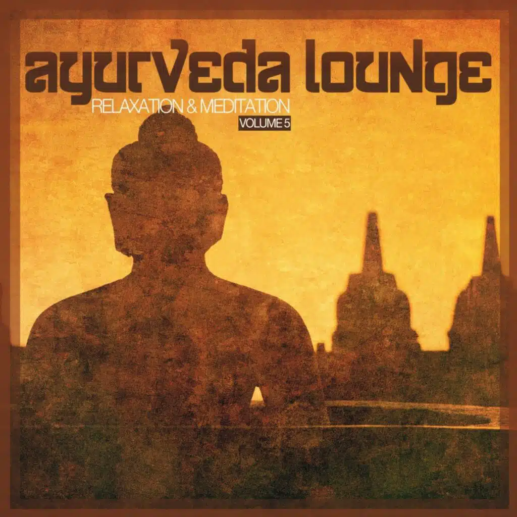 What We Are Looking For