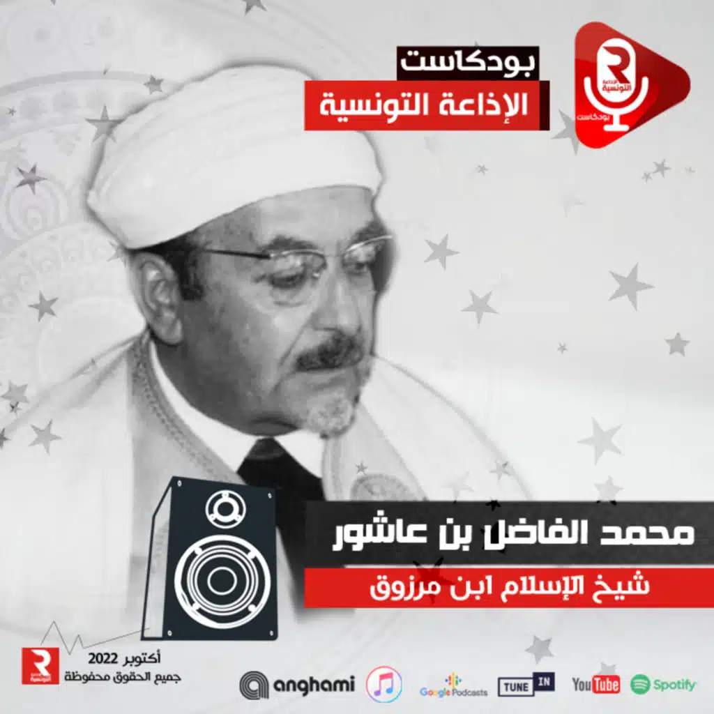 الشيخ_محمد_الفاضل_بن_عاشور : شيخ الإسلام ابن مرزوق#