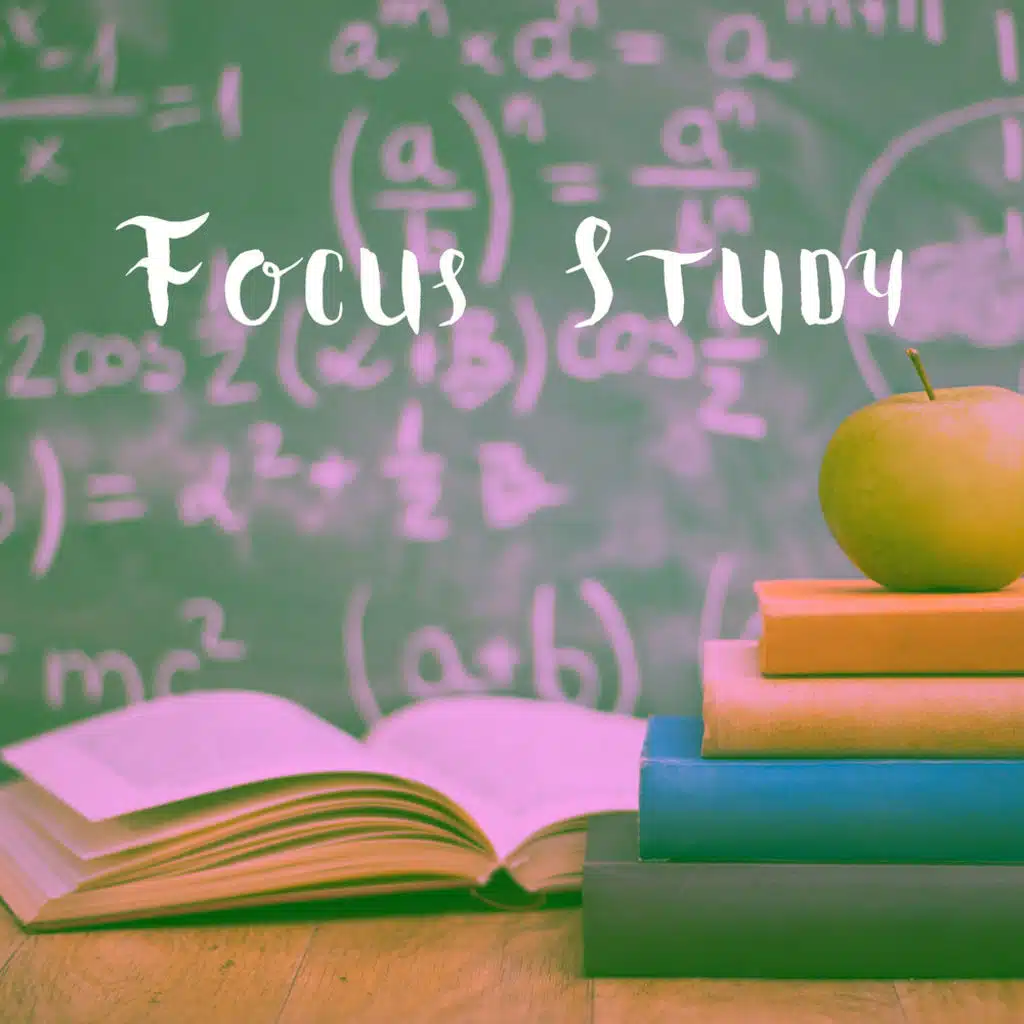 Focus Study