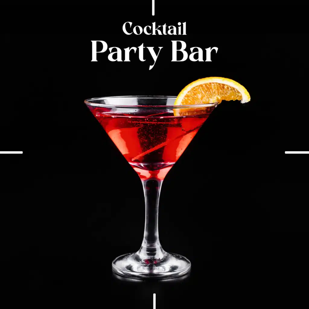 Bachelorette Party Music Zone