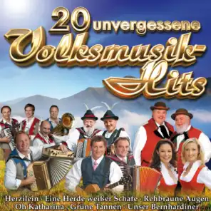 20 unvergessliche Volksmusik-Hits