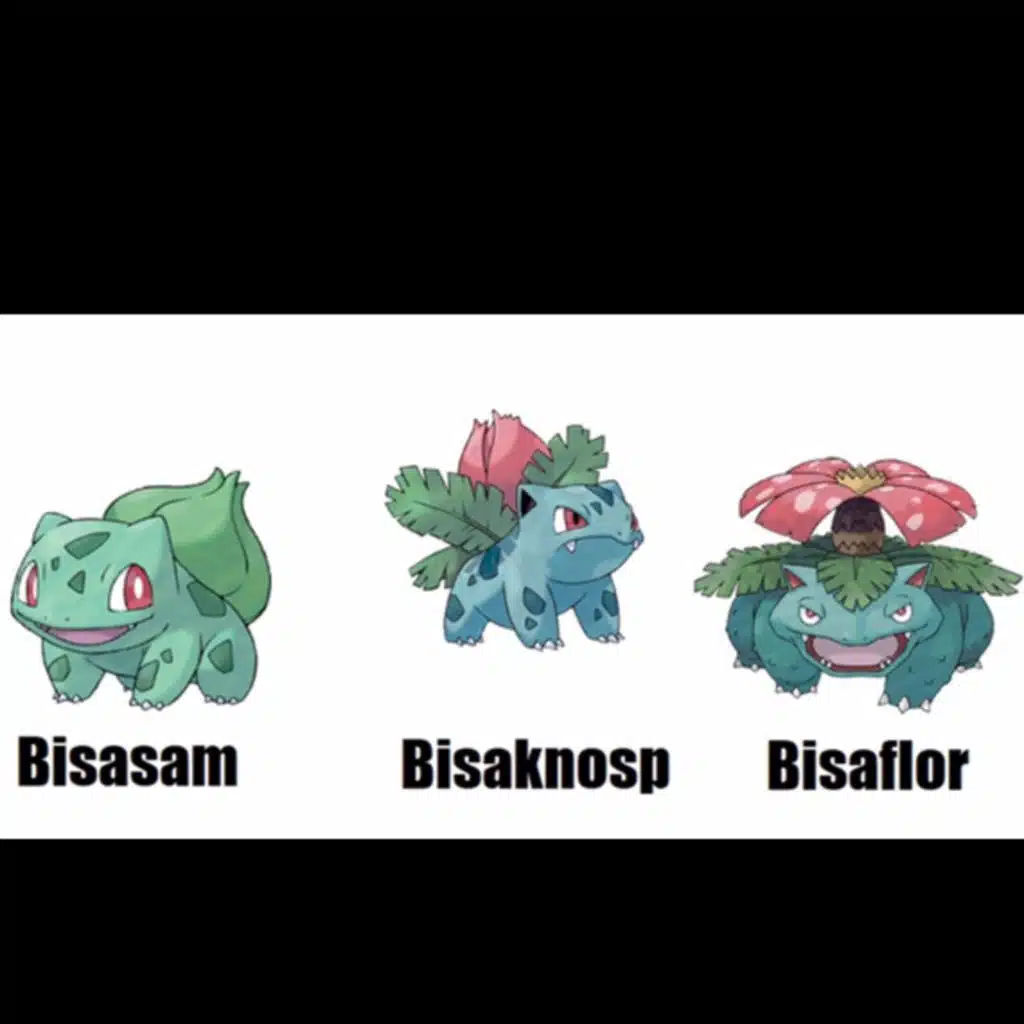 Pokemon:Bisasam bis Bisaflor Folge:1                          Pokedex Nr.1 bis 3