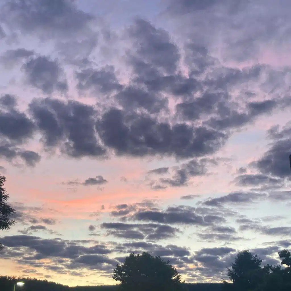 Last Summer Album (Freestyle)