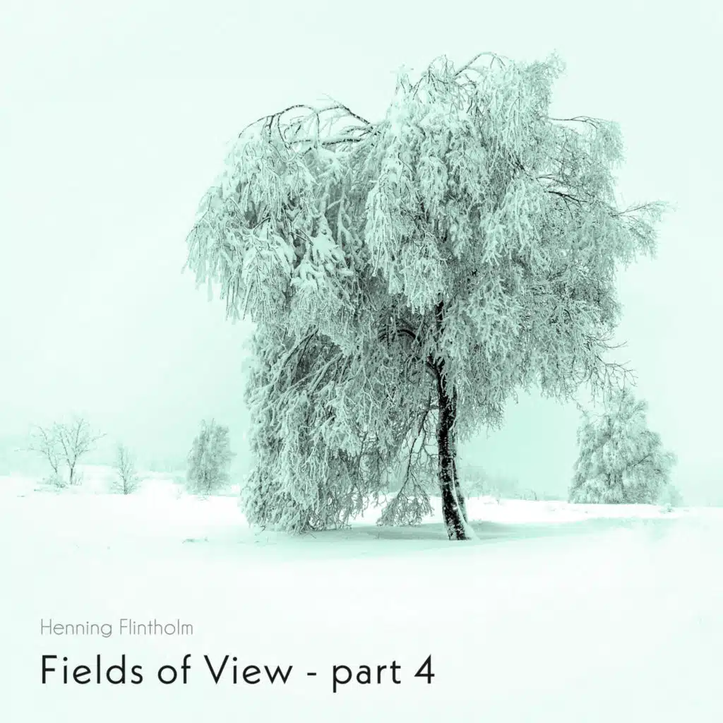 Fields of View - part 4