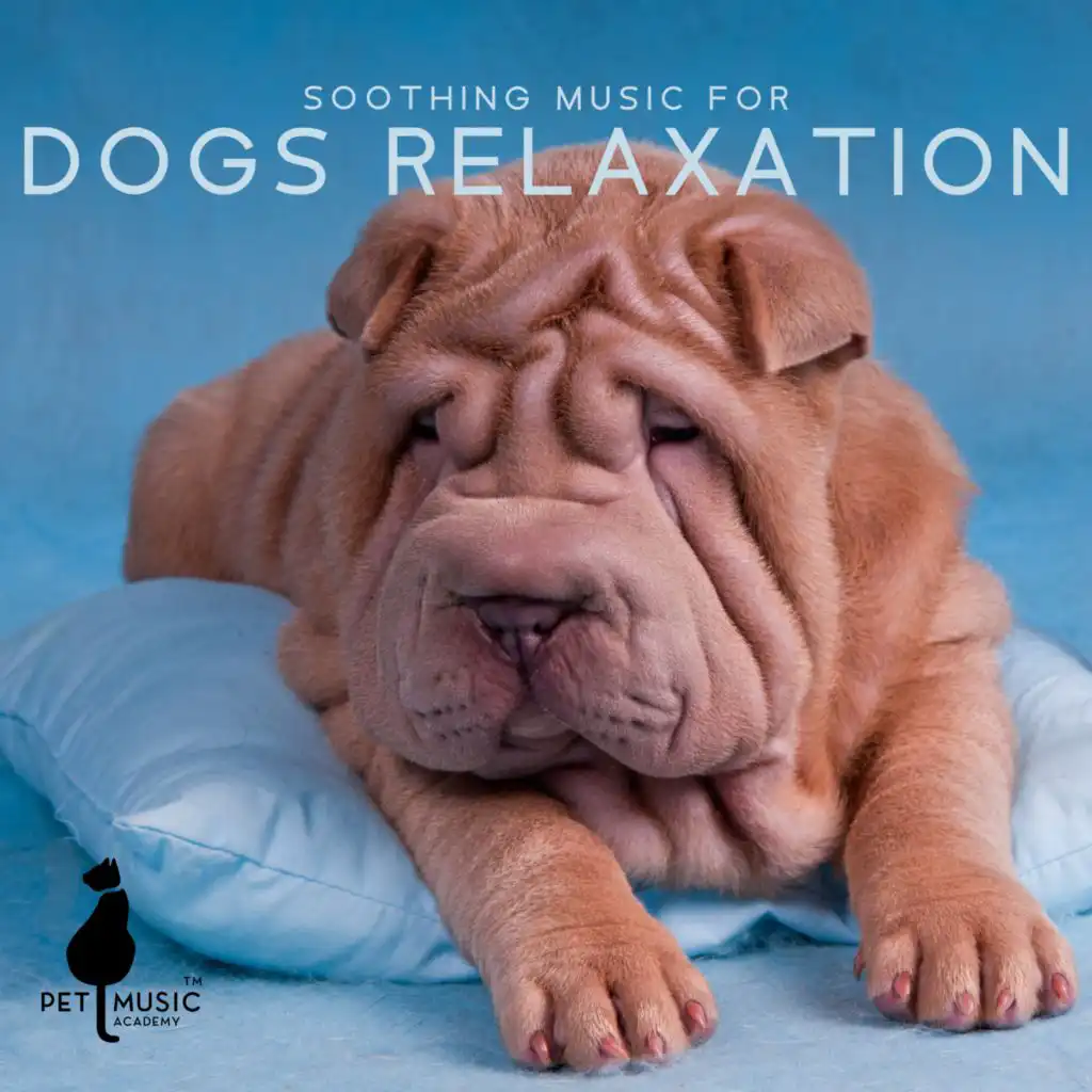 Soothing Music for Dogs Relaxation During Fireworks (Calming Music for Dogs Scared)