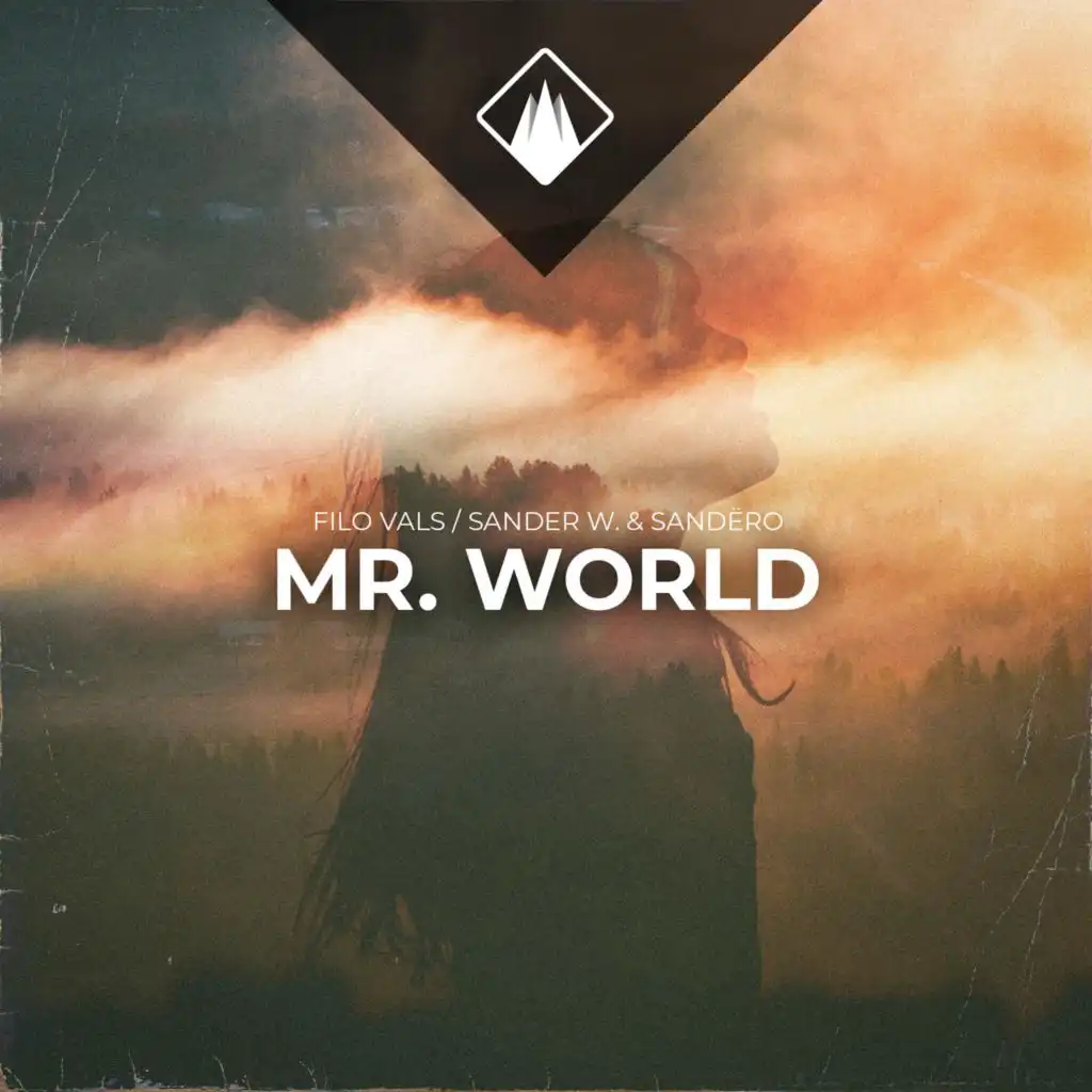 Mr. World (Sander W. & Sandëro Remix)