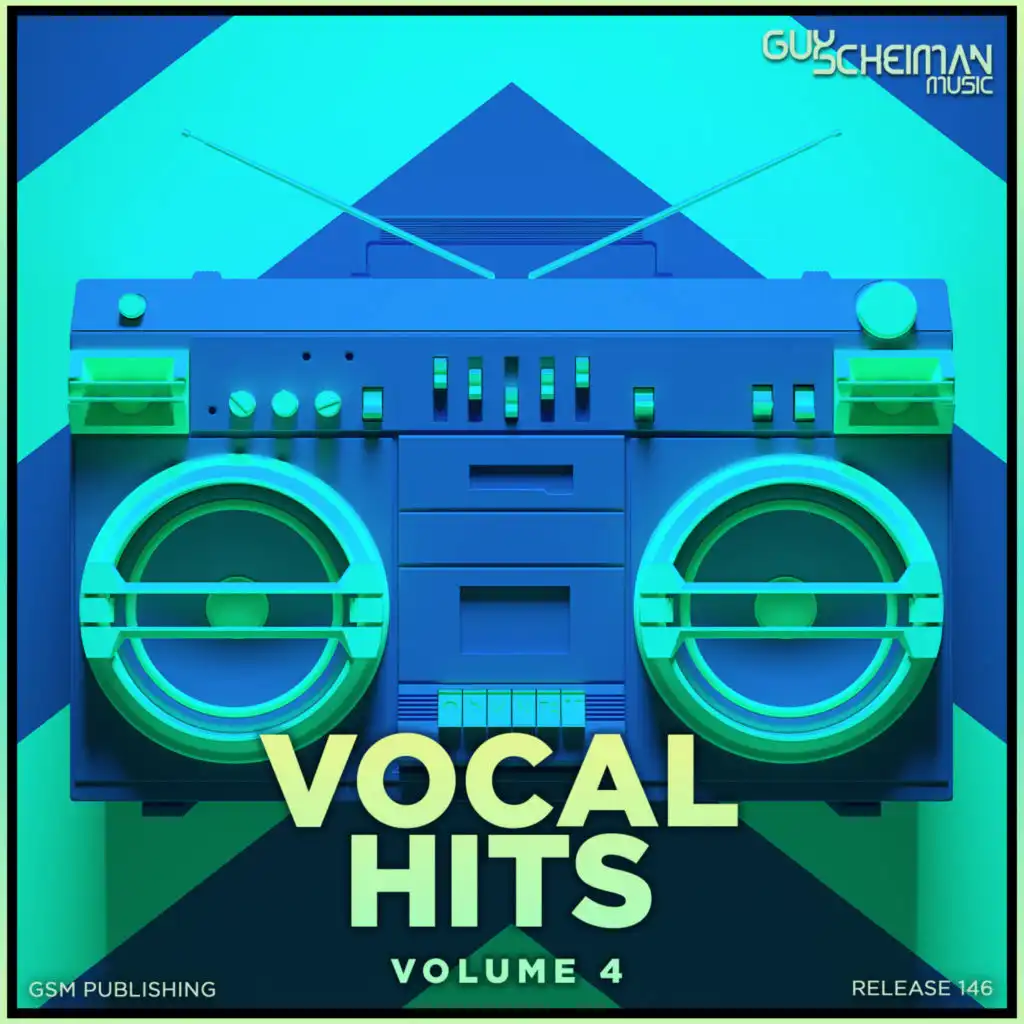 Vocal Hits, Vol. 4