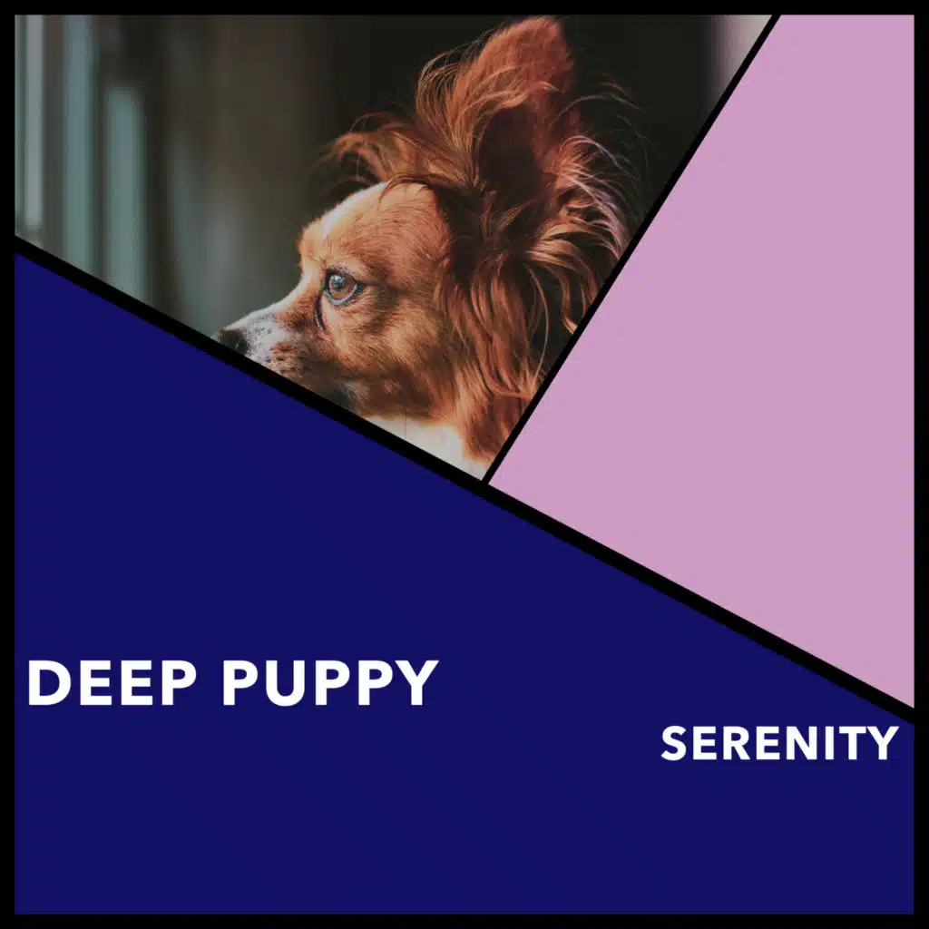 Calming Dog Chillout & Dog Chillout Zone