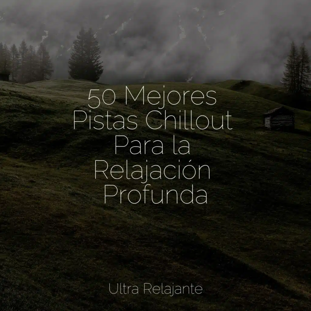 Melodías Calmantes | Relajación y Sueño