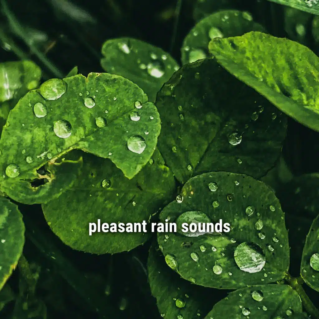 pleasant rain sounds