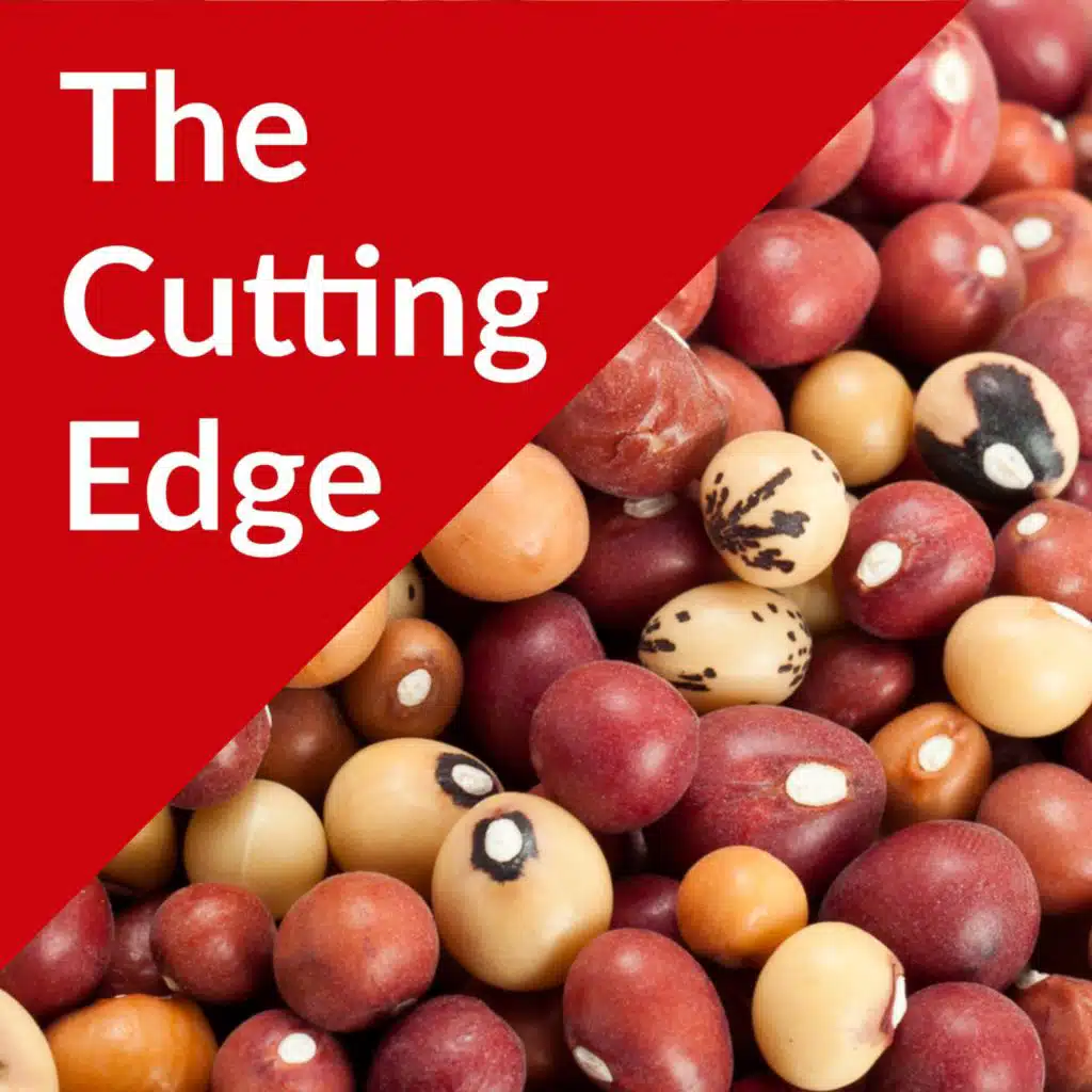 Episode #33: Bambara Groundnut