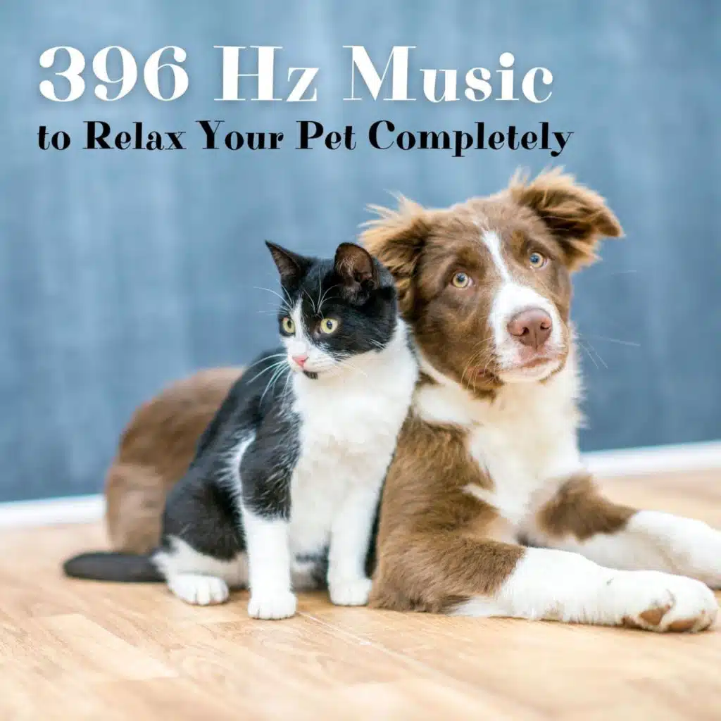 Jazz Pets Relax, Music for Pets & Music for Cats Peace
