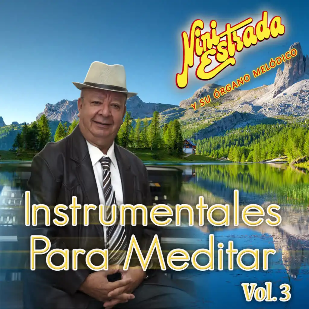 Instrumentales Para Meditar, Vol. 3 (Instrumental)