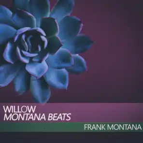 Willow (Montana Beats)