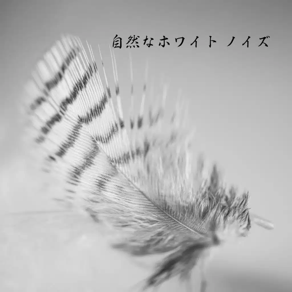 睡眠音楽のアカデミー, 白色雑音 & 自然の音と音楽