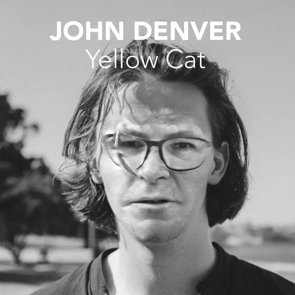 Yellow Cat