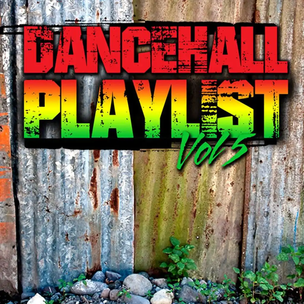 Dancehall Playlist, Vol. 5 (Edit)