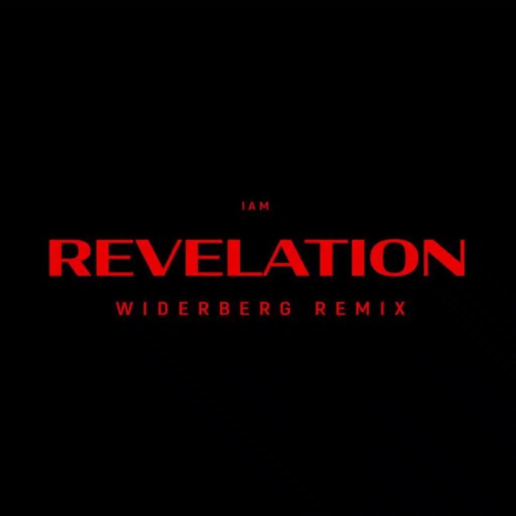 REVELATION (widerberg REMIX) [feat. Jalal Ramdani & Mavhungu]
