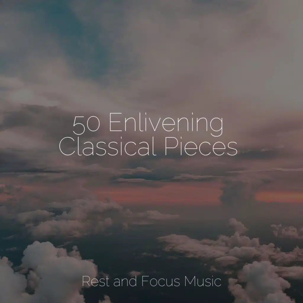 Pet Care Music Therapy & The Sleep Helpers