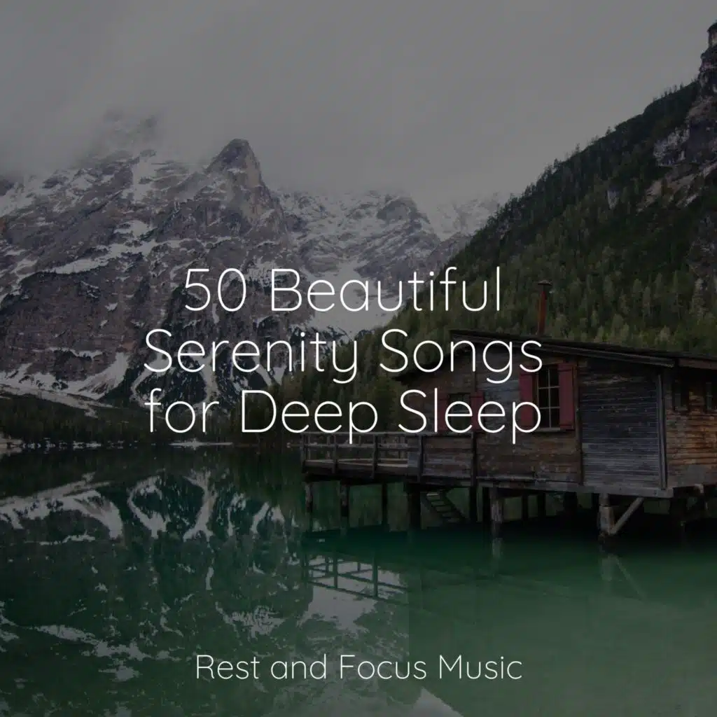 Sounds of Nature White Noise for Mindfulness Meditation and Relaxation