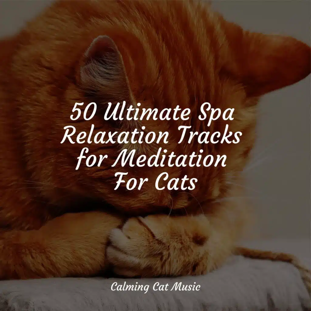 Ambient Soundscape for Sleep