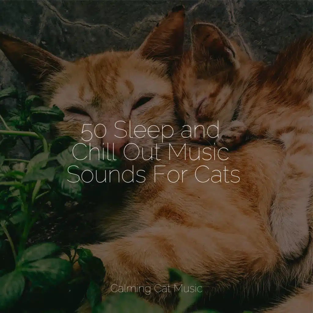 Ambient Soundscape for Sleep