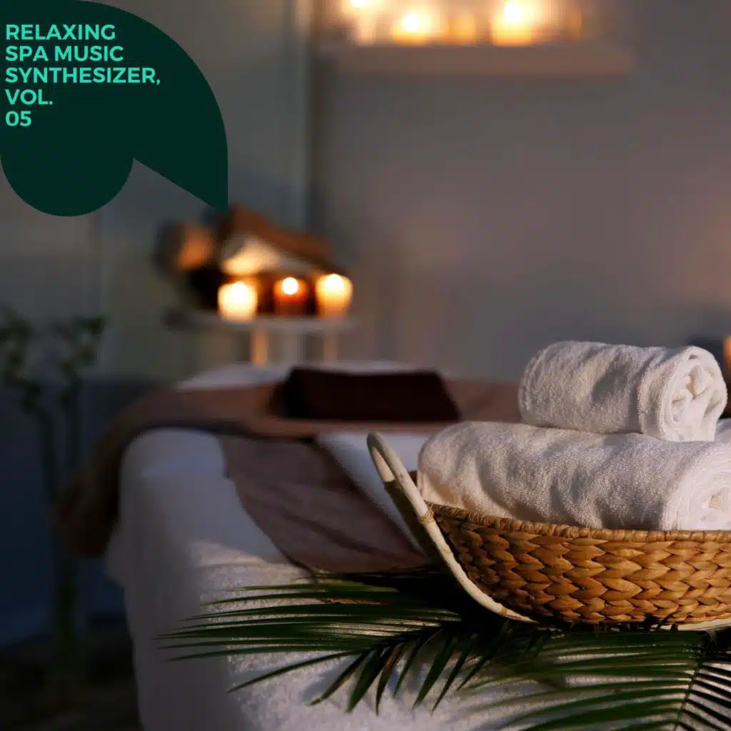 The Dreamy Meditating Moments