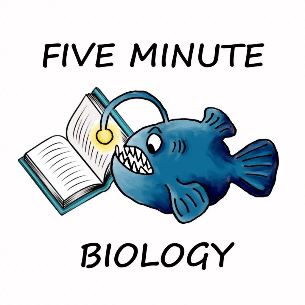 08 Revision: Nervous system