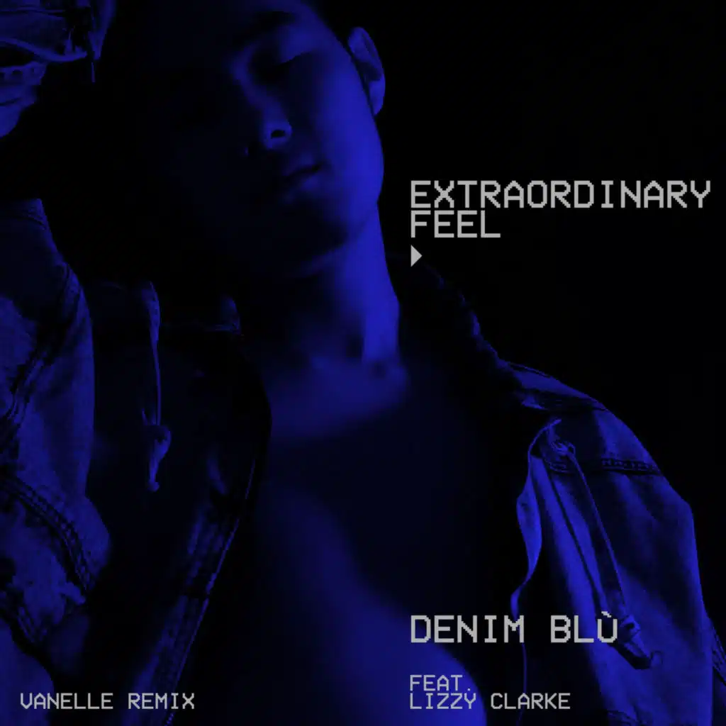 Extraordinary Feel (Vanelle Remix) [feat. Lizzy Clarke]