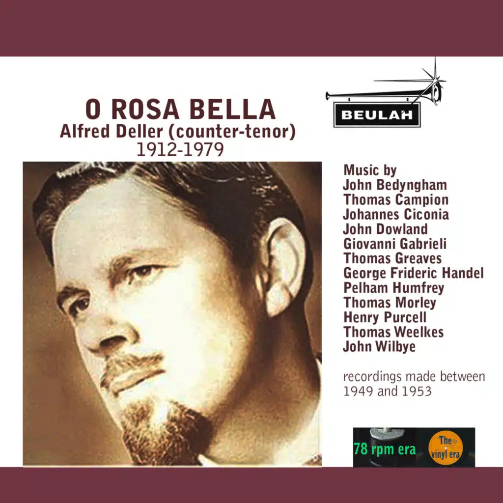 O rosa bella (Johannes Ciconia Version)
