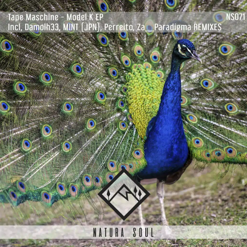 Model K (Damolh33 Remix)