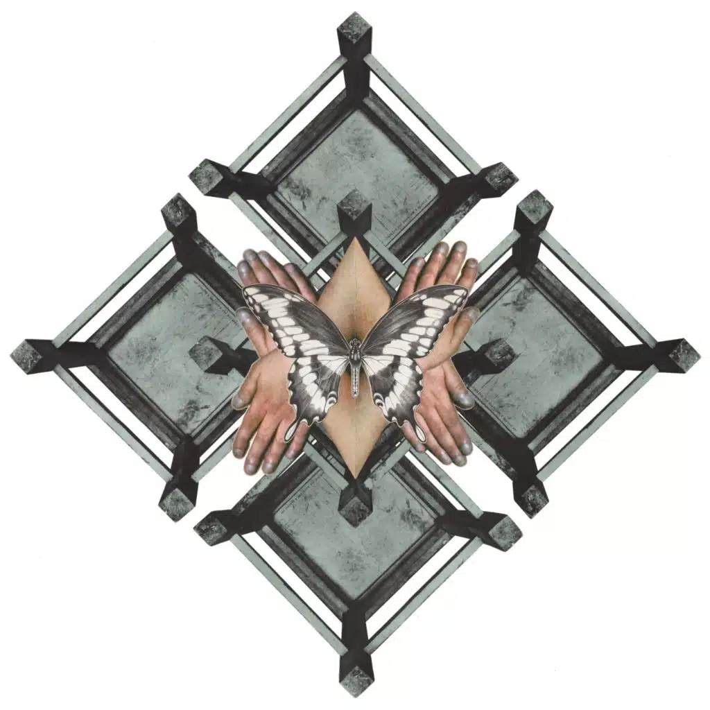 Butterfly Tongues More Ancient Than Flowers