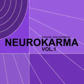 NeuroKarma, Vol.1