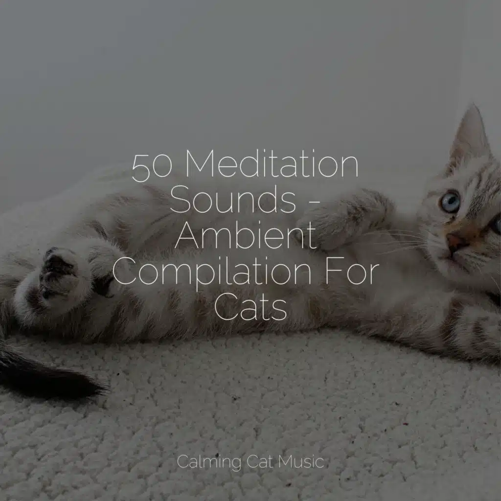 50 Meditation Sounds - Ambient Compilation For Cats