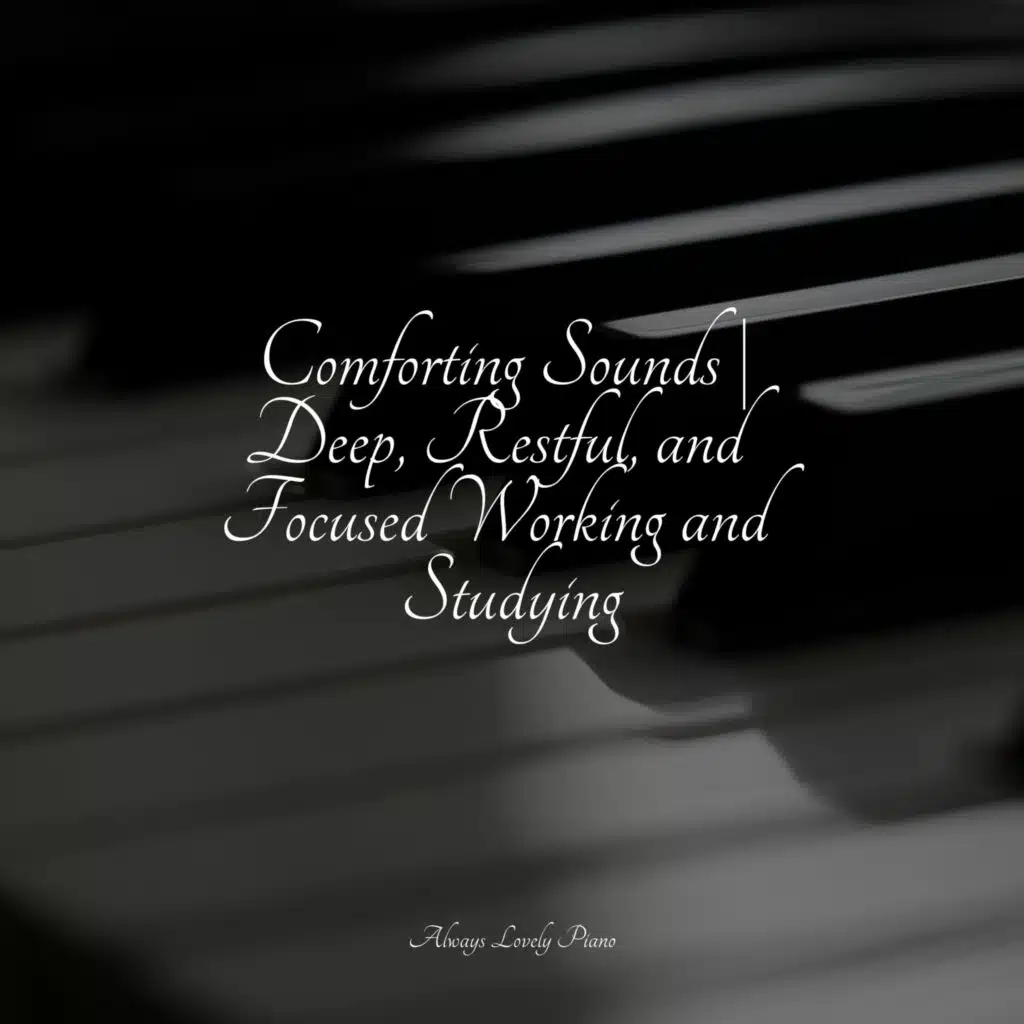 Comforting Sounds | Deep, Restful, and Focused Working and Studying