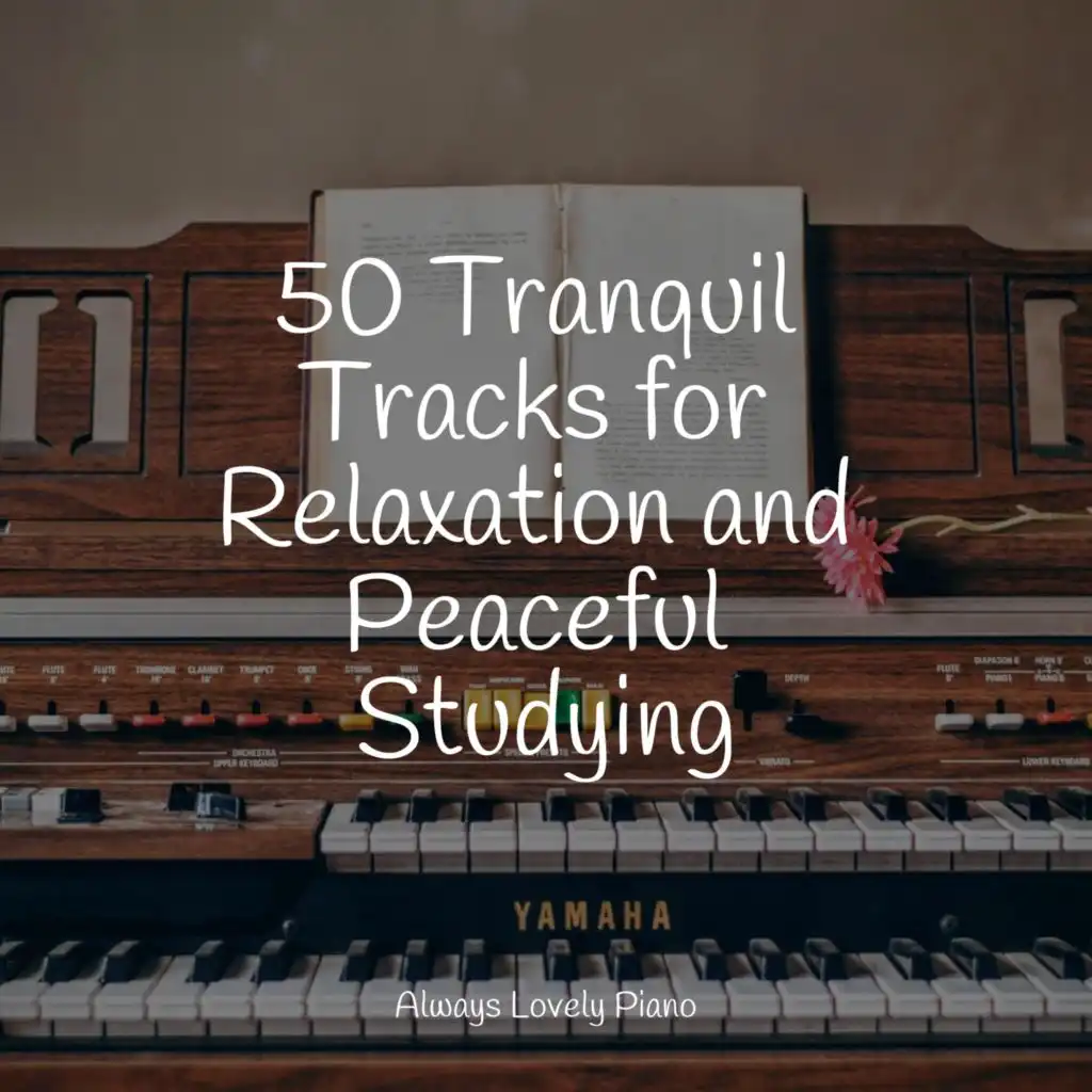 50 Tranquil Tracks for Relaxation and Peaceful Studying