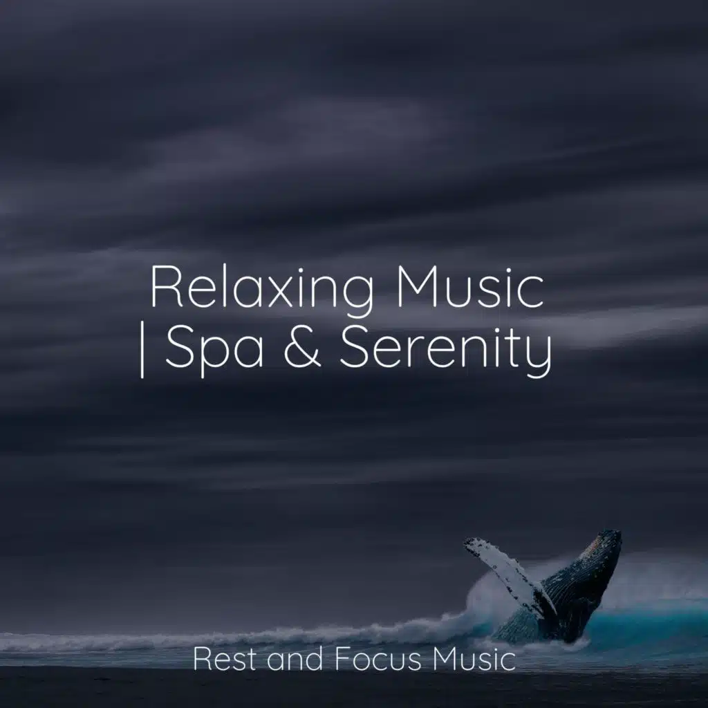 Academia de Meditação Buddha & Tibetan Singing Bowls For Relaxation